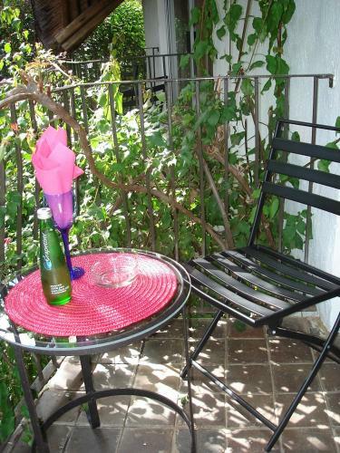 Hostal De Witt'e Guest House