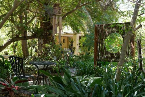 Hostal Yellow Aloe