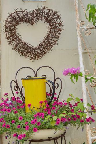 Hostal Yellow Aloe