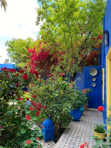 Riad Jean Claude