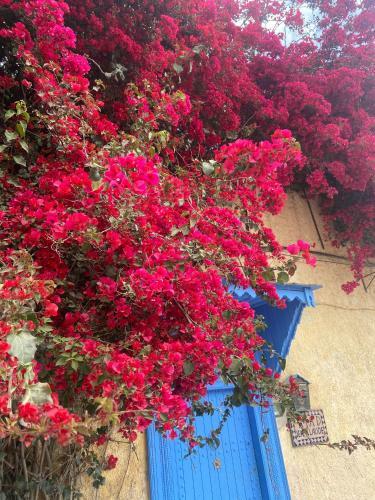 Riad Jean Claude