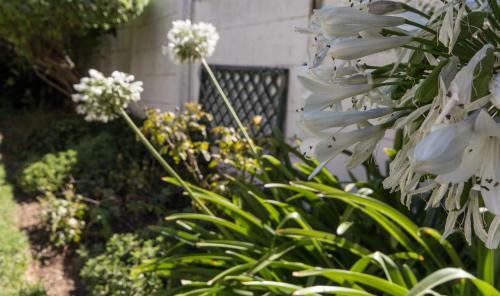 Hostal 10 Windell Self Catering Accommodation