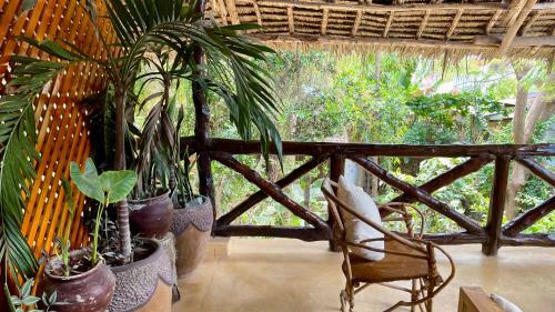 Hotel Atii Garden Bungalows