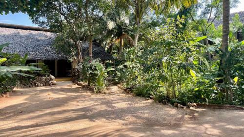 Hotel Atii Garden Bungalows