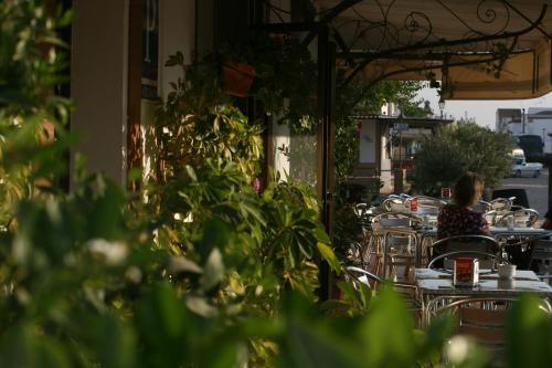 Hostal Pension Isidro