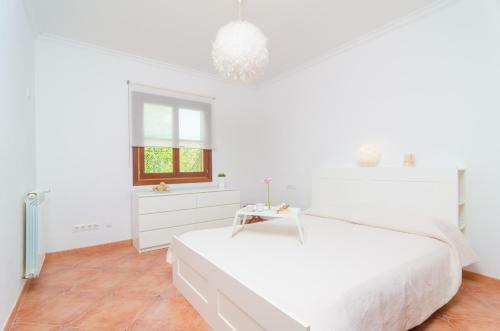 Villa Cirera