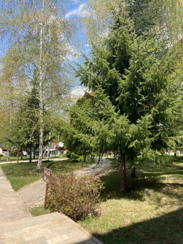Bright Apartment In Bansko Free Sauna And Garage