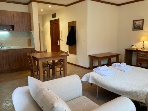Bright Apartment In Bansko Free Sauna And Garage