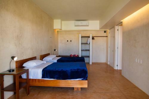 New Beachfront Suites For Large Groups, West Of Chicxulub Centro