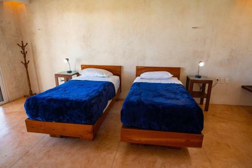 New Beachfront Suites For Large Groups, West Of Chicxulub Centro