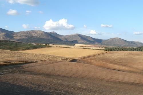 Hotel Cortijo Del Marqu�s