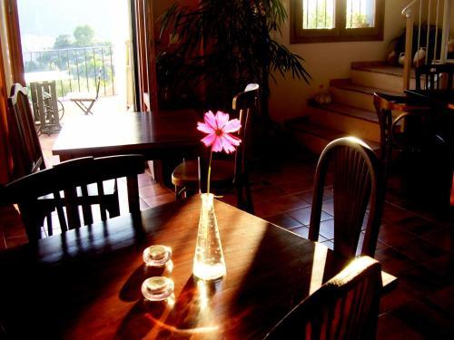 Bed & Breakfast Shar�qua