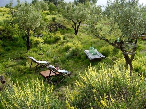 Bed & Breakfast Shar�qua