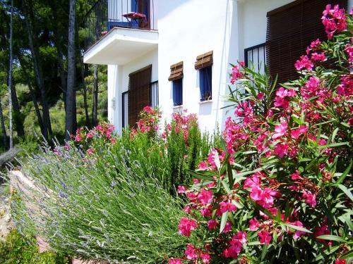 Bed & Breakfast Shar�qua