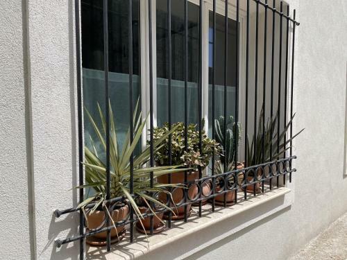 Maison Luxe Face Aux Remparts Aigues Mortes