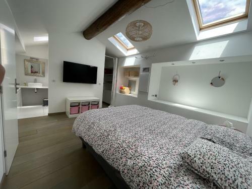 Maison Luxe Face Aux Remparts Aigues Mortes