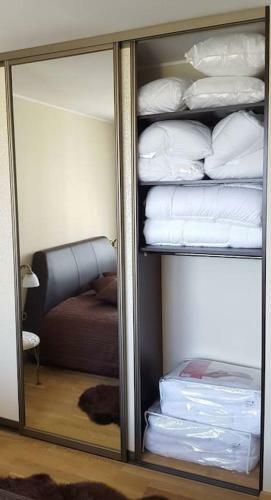 Cozy Apartments In Druskininkai With Panorama View