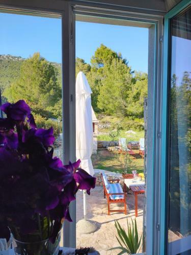 Apartment Garden, Korcula