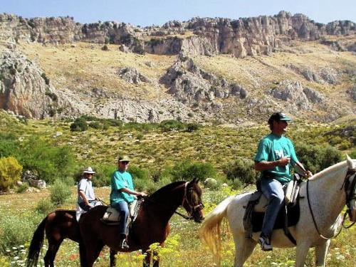 Holiday Home Finca Lomas de Tienda Antequera