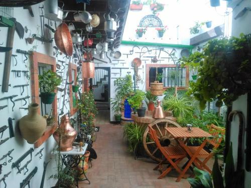 Apartamentos Jerez Centro
