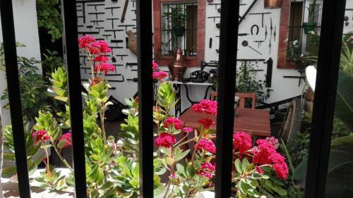 Apartamentos Jerez Centro