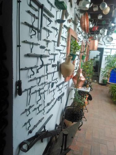 Apartamentos Jerez Centro