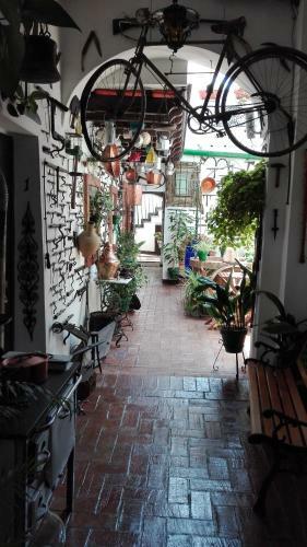 Apartamentos Jerez Centro