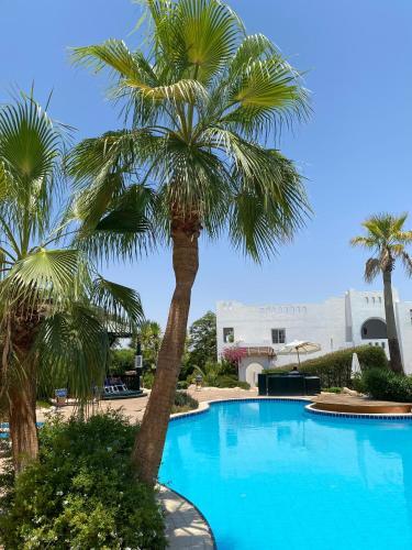 Apartamento Delta Sharm Resort - One Bed Room Flat - 64 M2