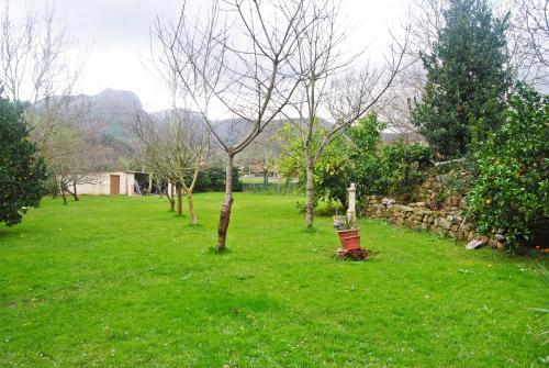 Albergue El Musgoso