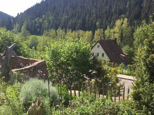 Apartamento Goldene Mooskugel
