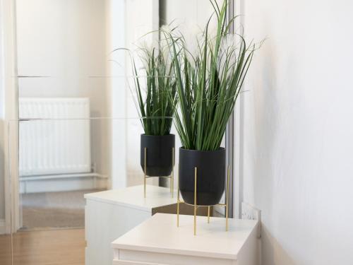 Pass The Keys Fab 2br Home City Centre Local Belfast Feel