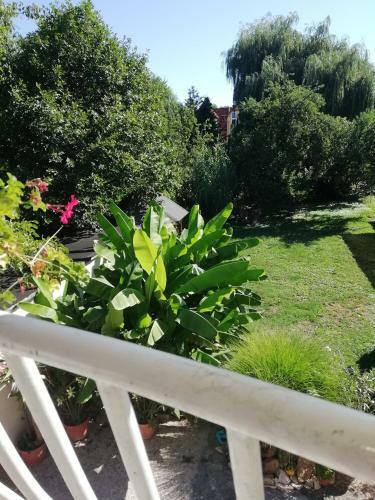 Szilvia Apartman