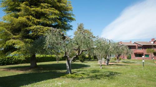 Felderer Boutique Apartments
