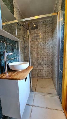 Villa Alley Tiny House