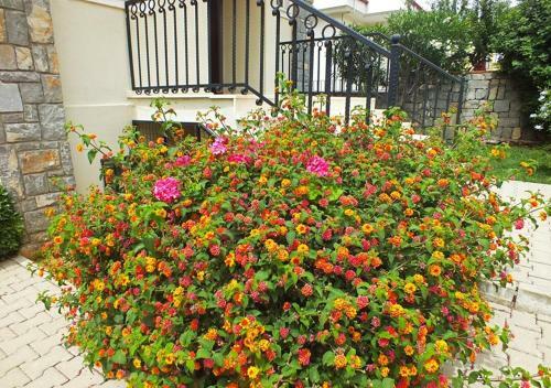 Villa Da?sy Garden B