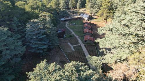 Stone Villa