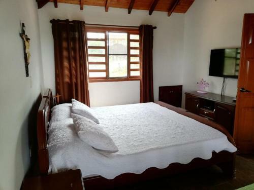 Casa Paraiso