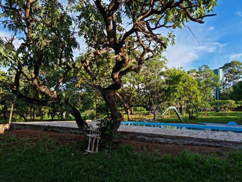 Glamping Flor Do Pequi
