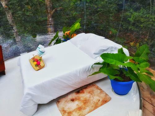 Glamping Amazonas