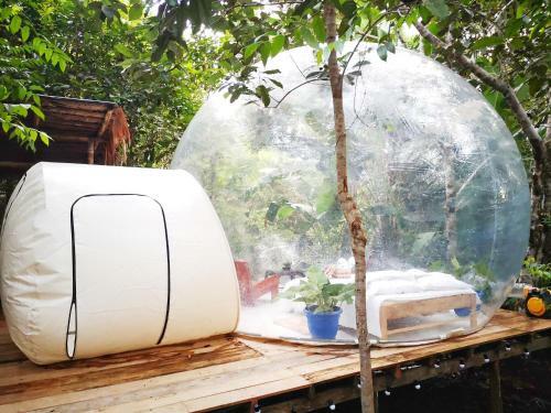 Glamping Amazonas