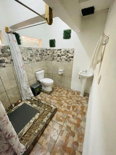 Casa Nativa Cr