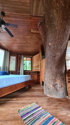 Finca Lucky, Samara