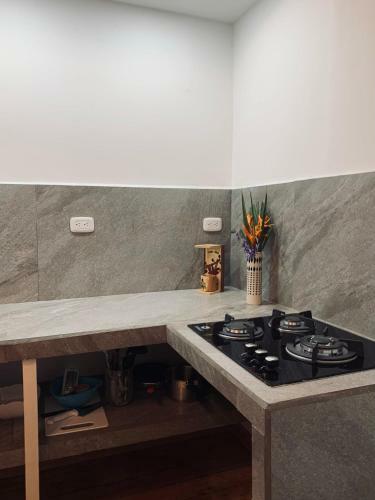Apartamento Elena Brown