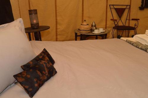 Night Desert Luxury Camp