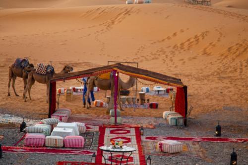 Night Desert Luxury Camp