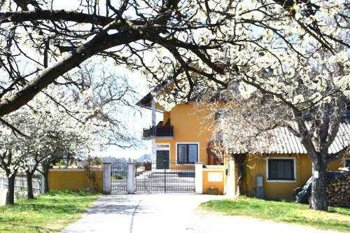 Apartamento Studio & Ferienwohnung Temmel