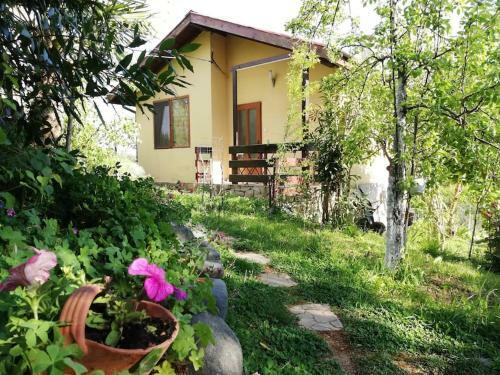 Yellow Villa