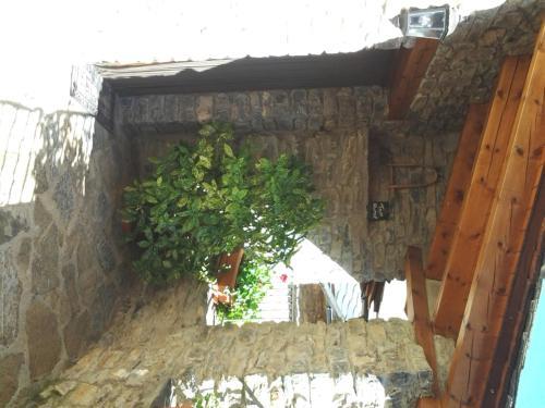 Casa Font De Seuri