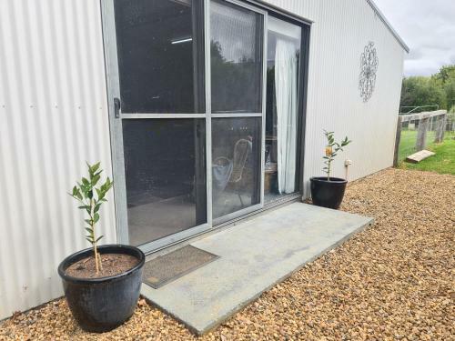 The Shed