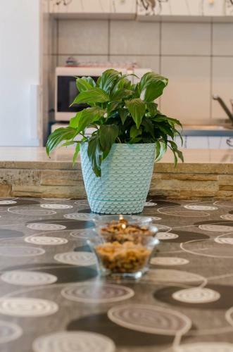 Apartman Ana